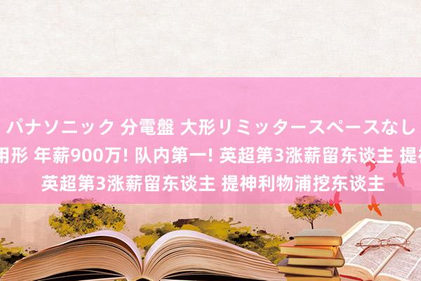 パナソニック 分電盤 大形リミッタースペースなし 露出・半埋込両用形 年薪900万! 队内第一! 英超第3涨薪留东谈主 提神利物浦挖东谈主