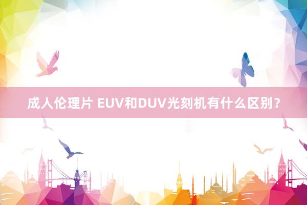 成人伦理片 EUV和DUV光刻机有什么区别？