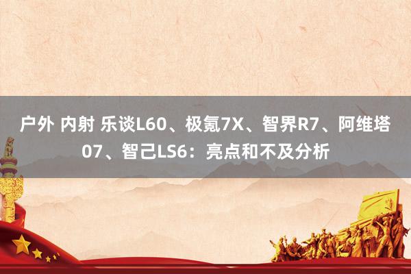 户外 内射 乐谈L60、极氪7X、智界R7、阿维塔07、智己LS6：亮点和不及分析