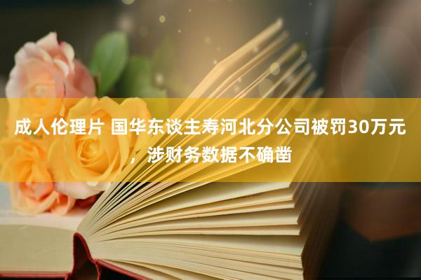 成人伦理片 国华东谈主寿河北分公司被罚30万元，涉财务数据不确凿