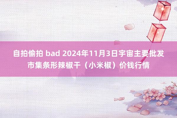 自拍偷拍 bad 2024年11月3日宇宙主要批发市集条形辣椒干（小米椒）价钱行情