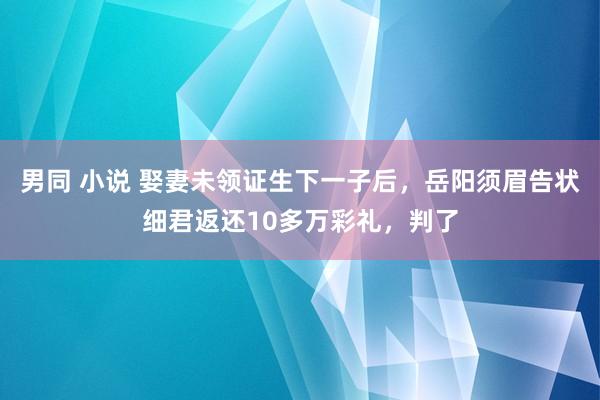 男同 小说 娶妻未领证生下一子后，岳阳须眉告状细君返还10多万彩礼，判了